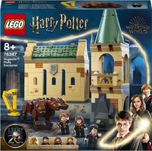 LEGO Harry Potter, Hogwart: spotkanie z Puszkiem, 76387