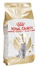 Royal Canin, British Shorthair Adult, karma dla kota, 2 kg