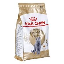 Royal Canin, British Shorthair Adult, karma dla kota, 4 kg
