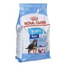Royal Canin, Maxi Puppy, karma sucha dla psa, 4 kg