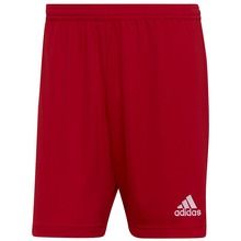 Szorty męskie, czerwone, Adidas Entrada 22 Short