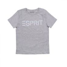 T-shirt chłopięcy, szary, Esprit
