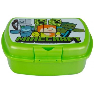 Astra, Minecraft, lunchbox