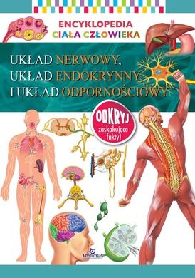 Encyklopedia ciała człowieka. Układ nerwowy układ endokrynny i układ odpornościowy