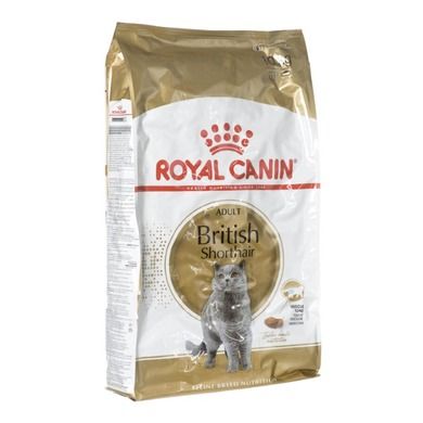 Royal Canin, British Shorthair Adult, karma dla kota, 10 kg