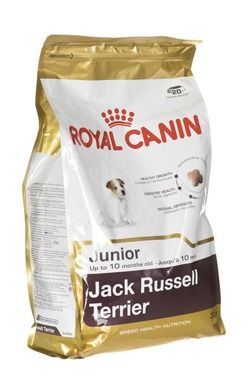 Royal Canin, Jack Russell Terrier Puppy, karma dla psa, 3 kg