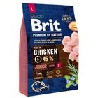 Brit, Premium by Nature, Junior Large, karma sucha dla psa, 3 kg