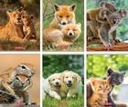 Herlitz, Animals, zeszyt A5, 32 kartki, kratka, 10 szt.