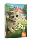 Muduko, O kocie w kłopocie, gra rodzinna