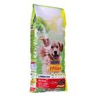 Purina, Friskies Adult Active, karma sucha dla psa, wołowina, 15kg