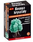 Ranok-Creative, Rosnące kryształy, Czarodziejskie drzewko, zestaw kreatywny, zielony