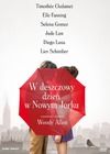 W deszczowy dzień w Nowym Jorku. DVD