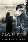 Zaginięcie. Tom 2. Seria z Joanną Chyłką