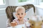 Tefl, Rodzina Treflików Urodzinki, gra familijna