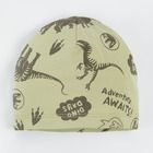 Cool Club, Czapka chłopięca, szara, zielona, Jurassic World, zestaw, 2 szt.