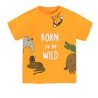 Cool Club, Komplet chłopięcy, T-shirt, Szorty, mix