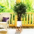 Home Styling Collection, doniczka na drewnianym stojaku, metalowa, 2 szt., biała
