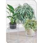 Home Styling Collection, kwietnik metalowy na rośliny, 3 poziomy, biały