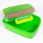 Kayokki, lunchbox, Piksele