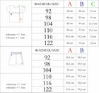 Komplet chłopięcy, T-shirt, Szorty, mix, Nicol
