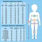 Spodnie dresowe chłopięce, niebieskie, Bellybutton