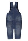 Spodnie ogrodniczki chłopięce, denim, Truck, Kanz