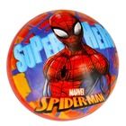 Brimarex, Spider-Man, piłka kolorowa, 23 cm