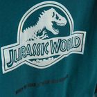 Cool Club, Komplet chłopięcy, Bluzka z długim rękawem, Spodnie dresowe, mix, Jurassic World