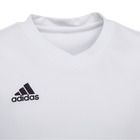 T-shirt chłopięcy, biały, Adidas Entrada 22