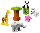 LEGO DUPLO, Małe Zwierzątka, 10904