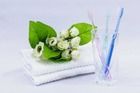 Shinyei, Crystal Fresh, podróżna szczoteczka do zębów z naturalną ceramiką, czyści bez użycia pasty, miękka