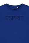 T-shirt chłopięcy, niebieski, Esprit
