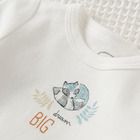 Cool Club, Komplet niemowlęcy, Body z długim rękawem, Półśpiochy, Czapka, biało-niebieski