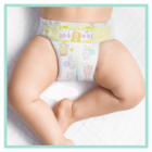 Pampers, Premium Care, pieluchy jednorazowe, rozmiar 3, 6-10 kg, 204 szt.
