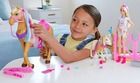 Barbie, Koniki, Stylizacja i opieka, zestaw z lalką i akcesoriami