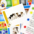 Lisciani, I'm Genius, Super Quiz, 1000 pytań, gra edukacyjna