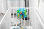 Toyz, Falla, stoliczek interaktywny, Blue