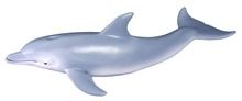 Collecta, Delfin Butlonosy, figurka, 88042