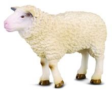 Collecta, Owca, figurka, 88008