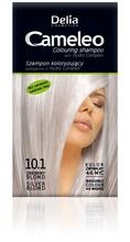 Delia Cosmetics, Cameleo, szampon koloryzujący 10.1 srebrny blond