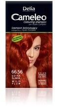 Delia Cosmetics, Cameleo, szampon koloryzujący 66.56 dzika śliwka