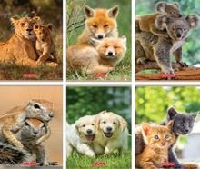 Herlitz, Animals, zeszyt A5, 32 kartki, kratka, 10 szt.