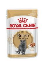 Royal Canin, British Shorthair, karma mokra dla kota, pakiet, 12-85 g