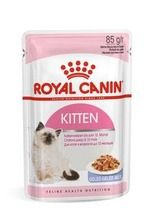 Royal Canin, Cat Kitten Food Jelly Pouch, karma mokra dla kota, 12 x 85g