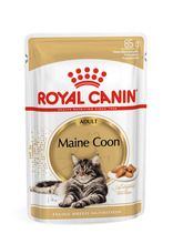 Royal Canin, FBN Maine Coon Adult, mokra karma dla kota, szaszetki, 12-85g