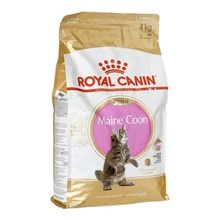 Royal Canin, Maine Coon Kitten, karma dla kota, 4 kg