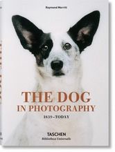 The Dog in Photography