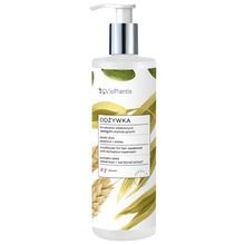 Vis Plantis, Herbal Vital Care, odżywka do włosów osłabionych, pestki dyni, pszenica, owies, 400 ml