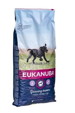 Eukanuba, Puppy & Junior Large Breeds, chicken, karma sucha dla psa, 15 kg