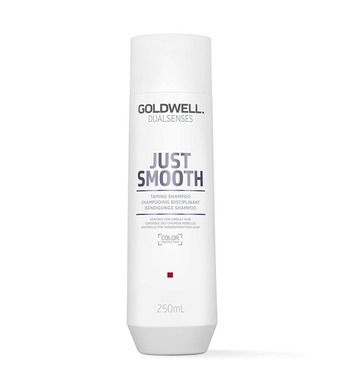 Goldwell, Dualsenses Just Smooth, wygładzający szampon do włosów, 250 ml